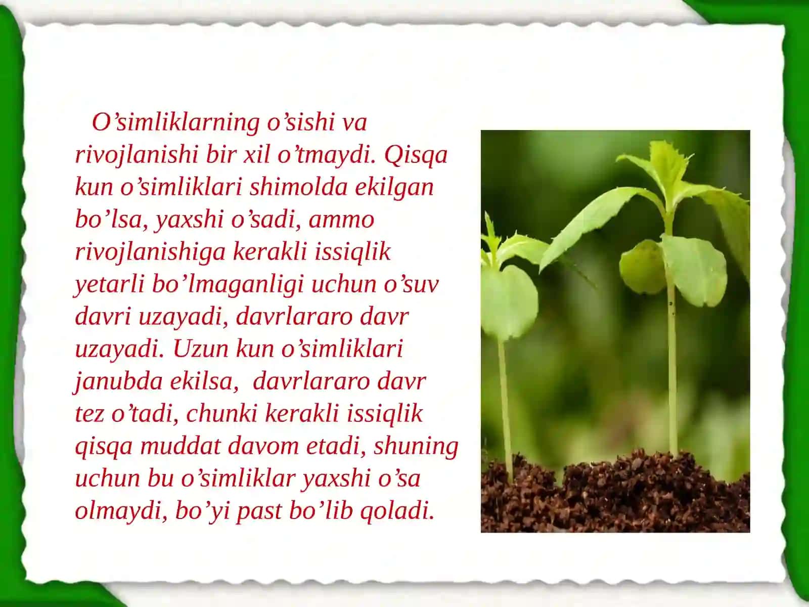 O`simlikning o`sishi, rivojlanishi, xosiliva uning sifatiga ta`sir qiladigan omillar 3