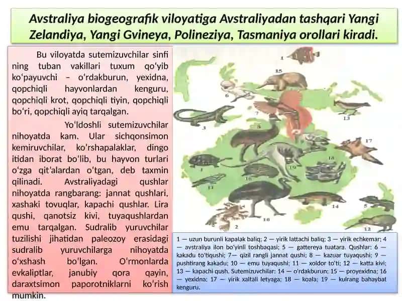 EVOLUTSIYANI ISBOTLASHDA BIOGEOGRAFIYA FANI DALILLARI 3
