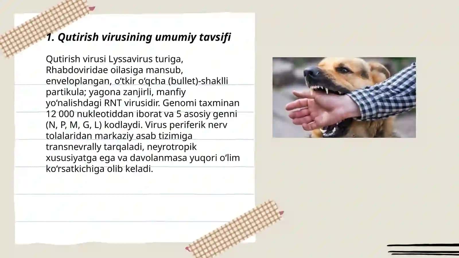 Qutirish virusi 3