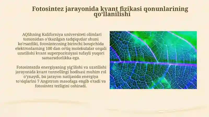 Fotosintez jarayonida kvant fizika qonunlarining tatbiqi 3