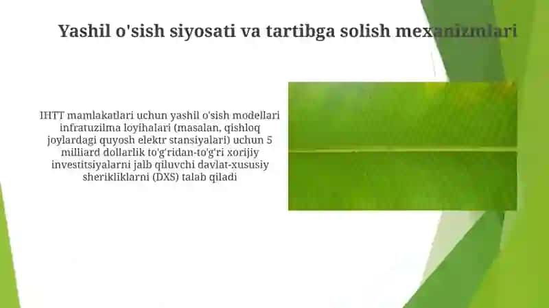 Yashil o'sish siyosati va tartibga solish mexanizmlari 3
