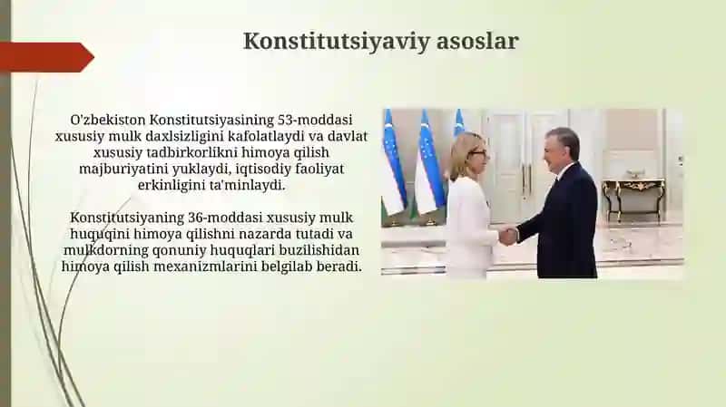 Xususiy tadbirkorlikning davlat tomonidan himoyasi 3