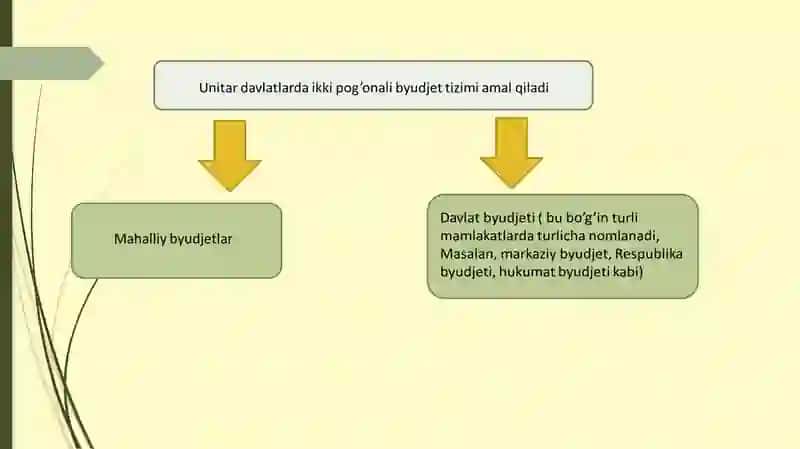 Davlat byudjeti daromadlari tushunchasi va tizimi 3