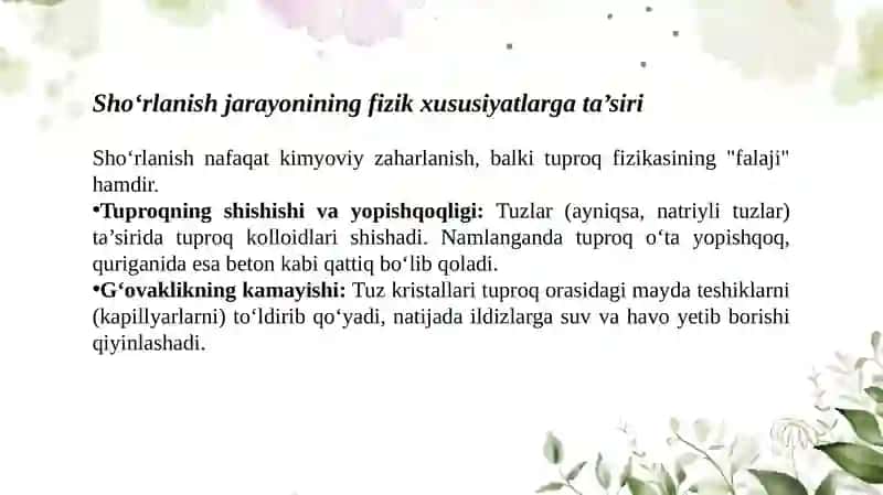Suz kiyimi 3