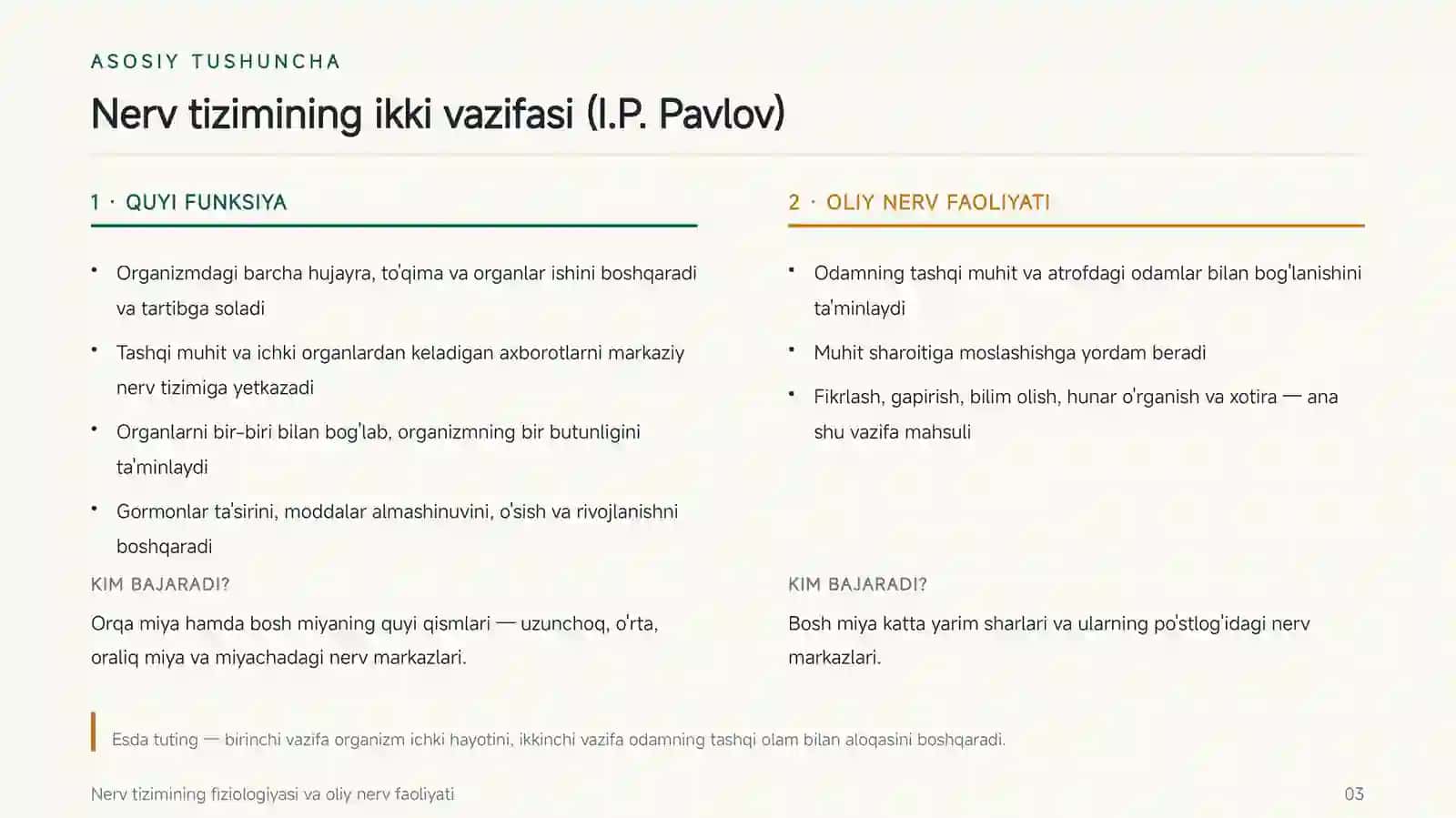 Nerv tizimining fiziologiyasi 3