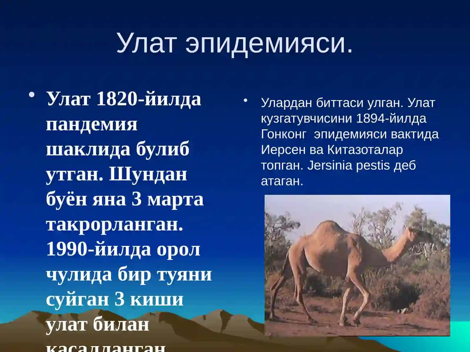 Ўлат 3