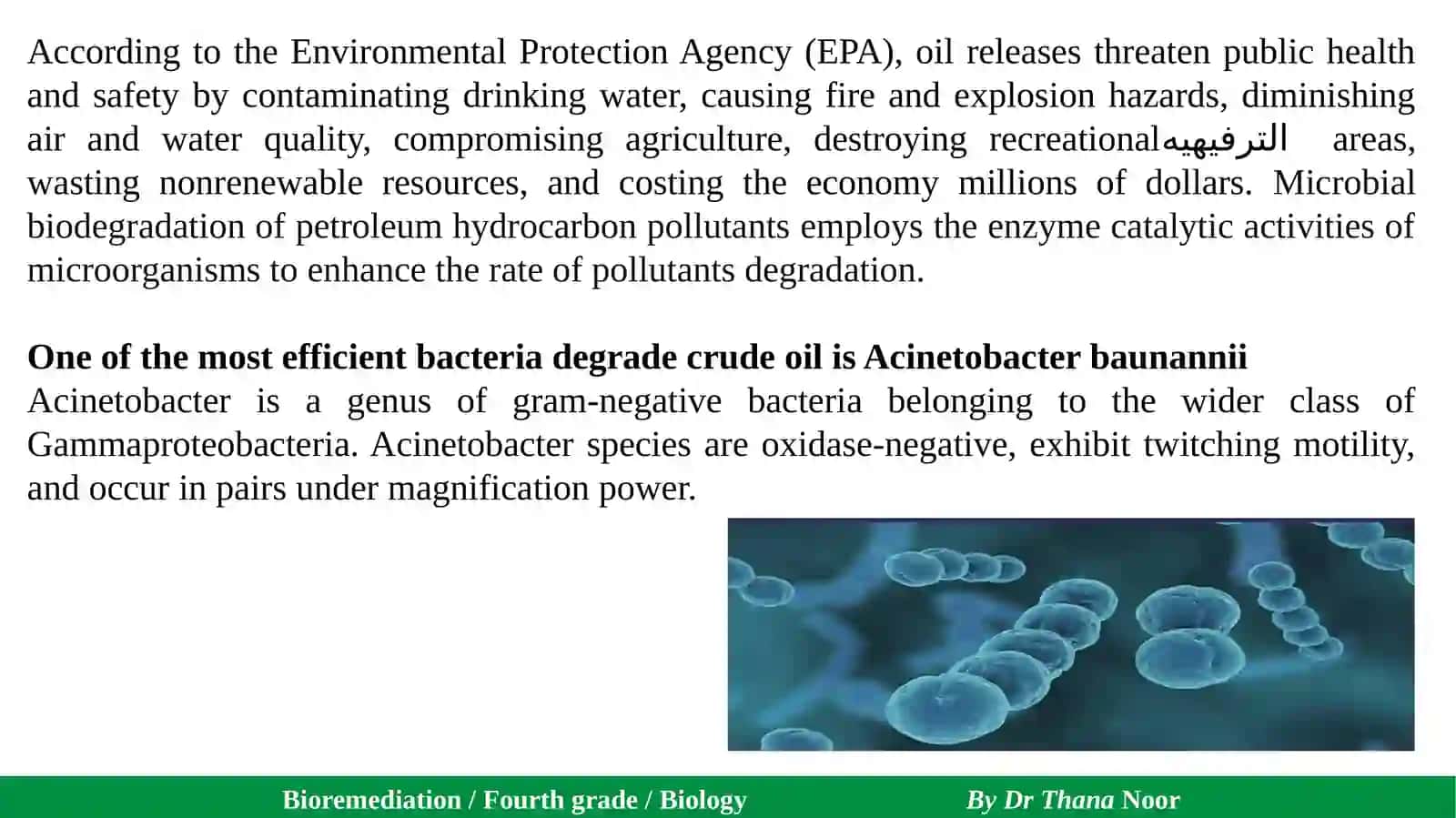 Bioremediation / Fourth grade / Biology By Dr Thana Noor 3