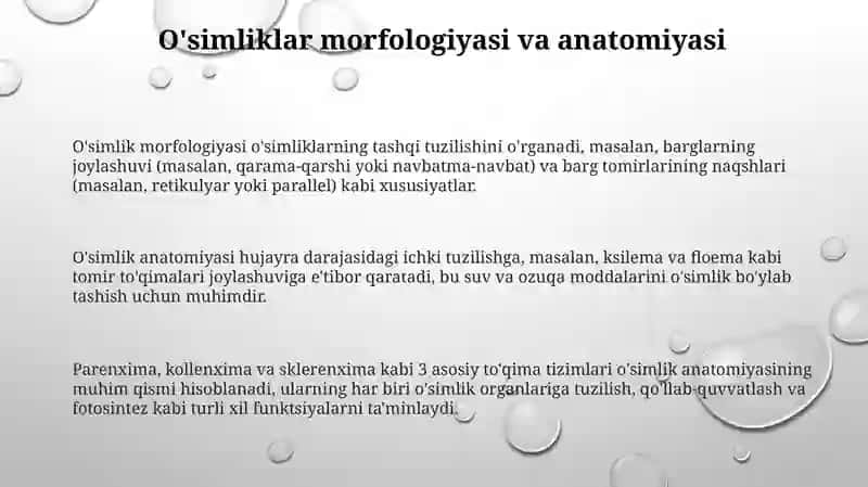 O'simliklarolami: tuzilishi, funksiyalari va ekologiyasi 3