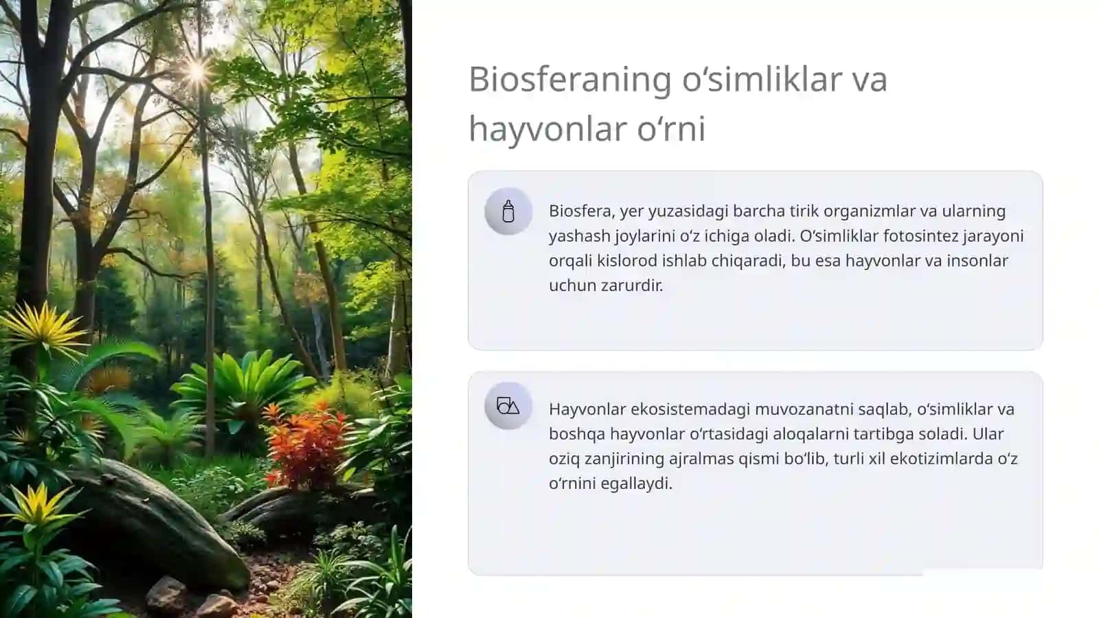Biosferadagi o‘simliklar va hayvonlar o‘rni 3
