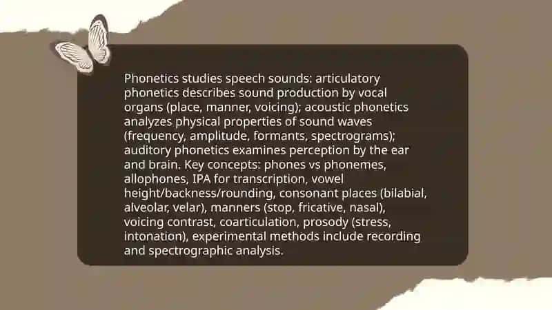 Linguistics 3