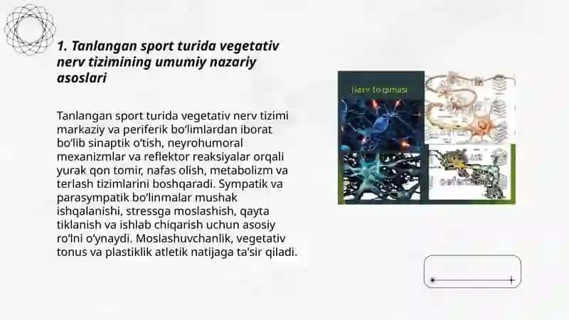 Tanlangan sport turida vegetativ nerv tizimining funksional sigmalarining o’tkazilishi 3