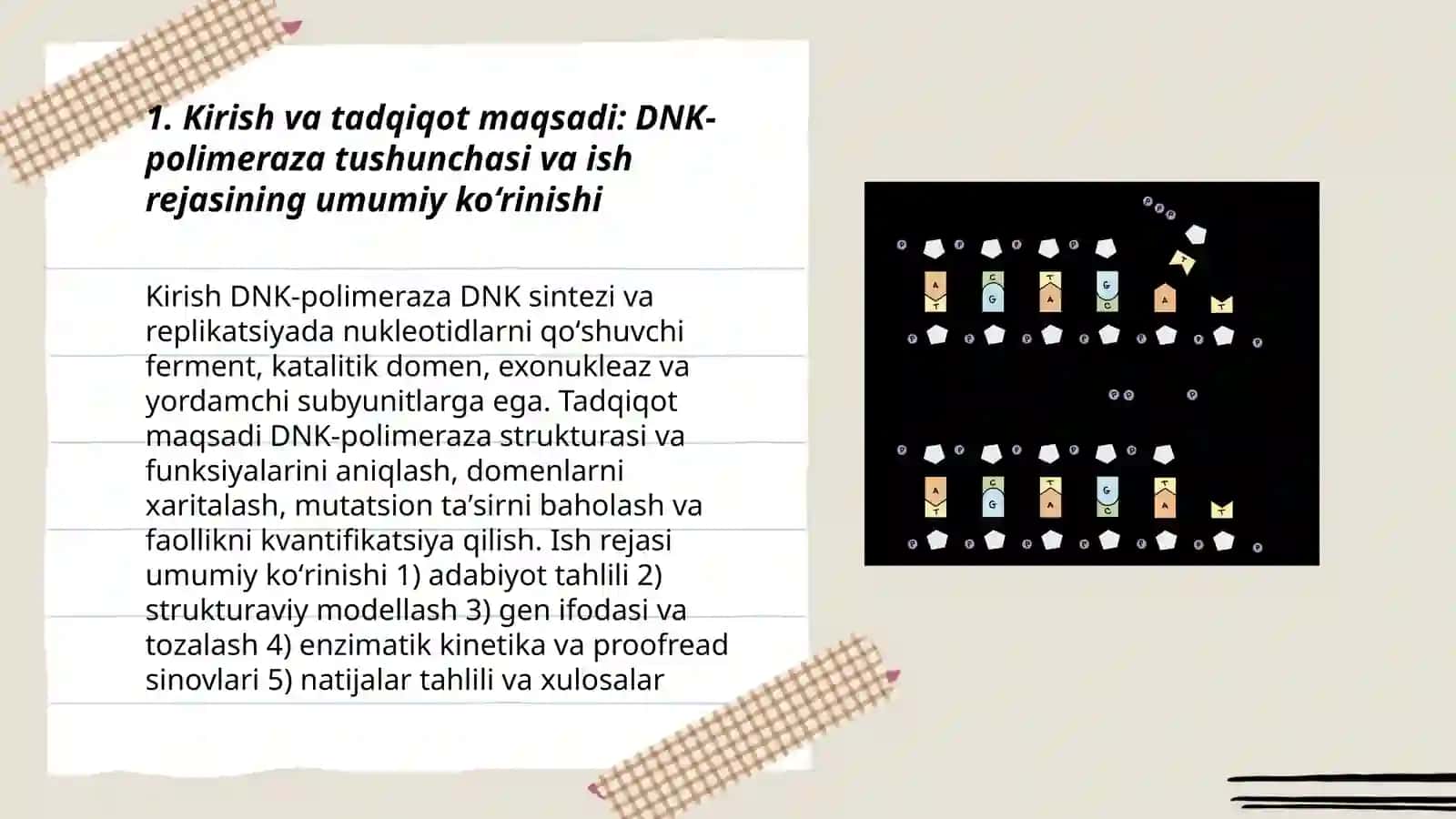 DNK-polimeraza fermentining strukturasiga funksiyalari 3