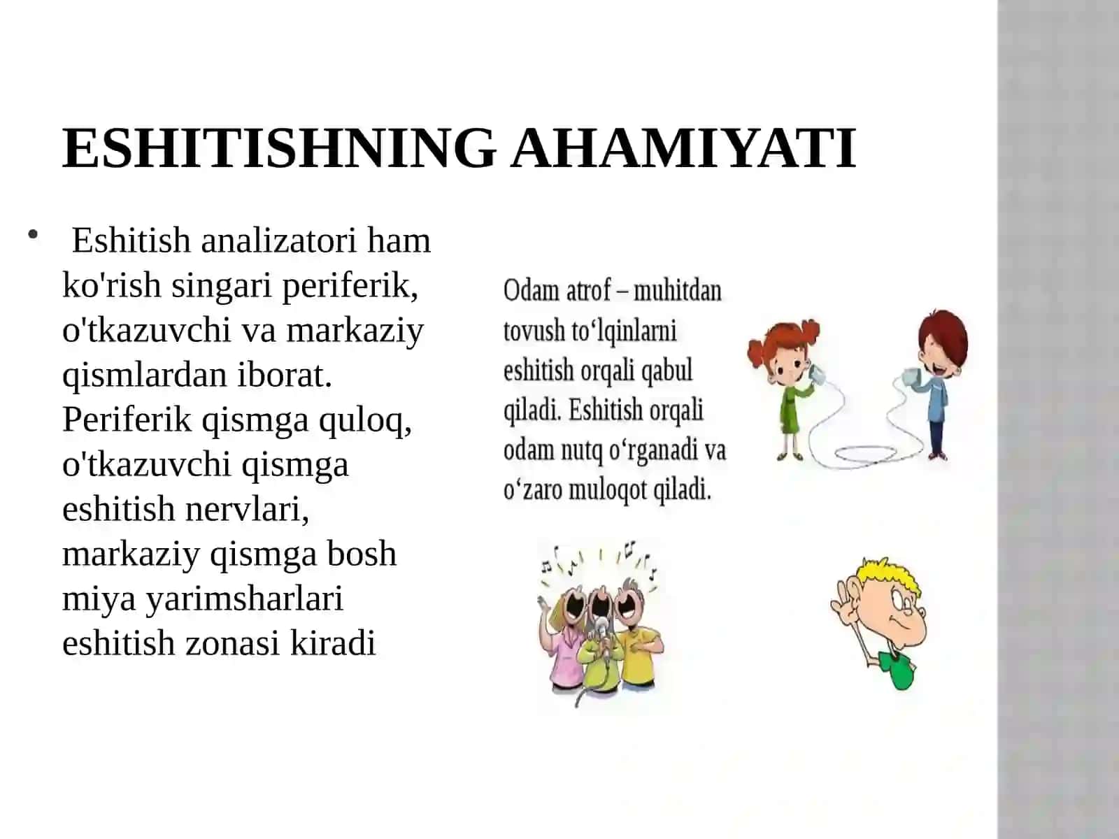 Eshitish organlarining tuzilishi, eshitish gigiyenasi 3