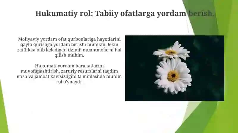 Moliyaviy Yordam Uchun Dalil 3