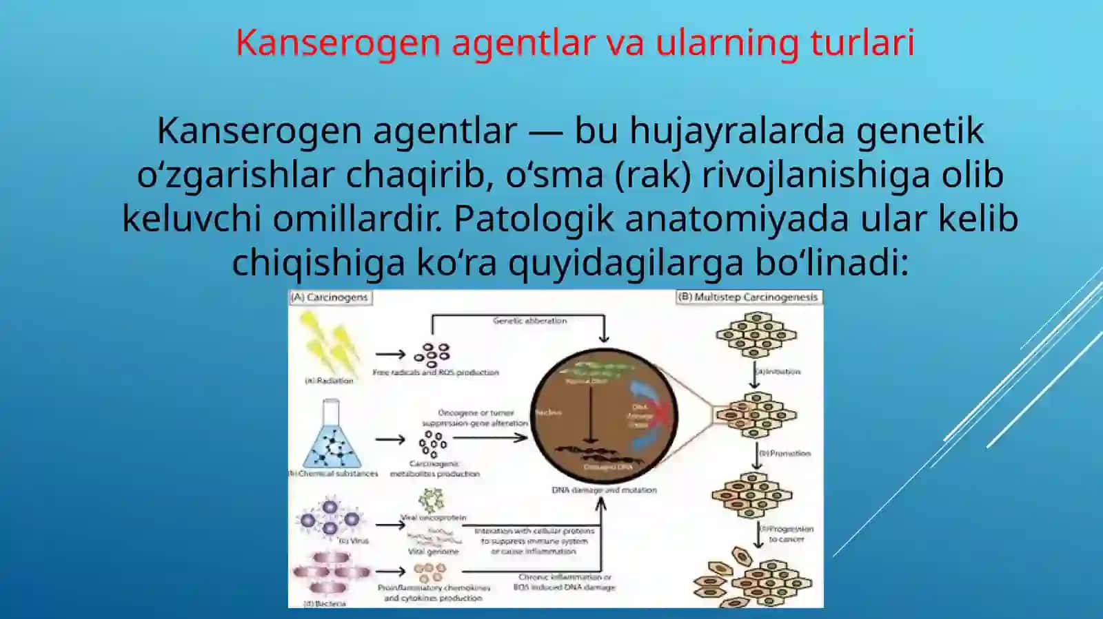 Kanserogen agentlar va ularning hujayralar bilan o'zaro ta'siri va o'sma immunitesi 3