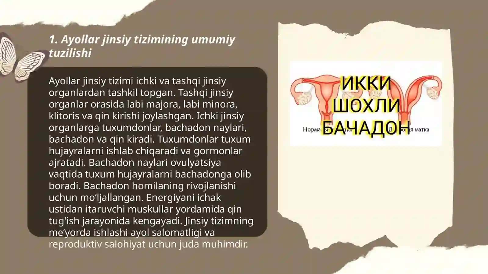 Ayollar jinsiy azolari anatomiyasi va fiziologiyasi 3