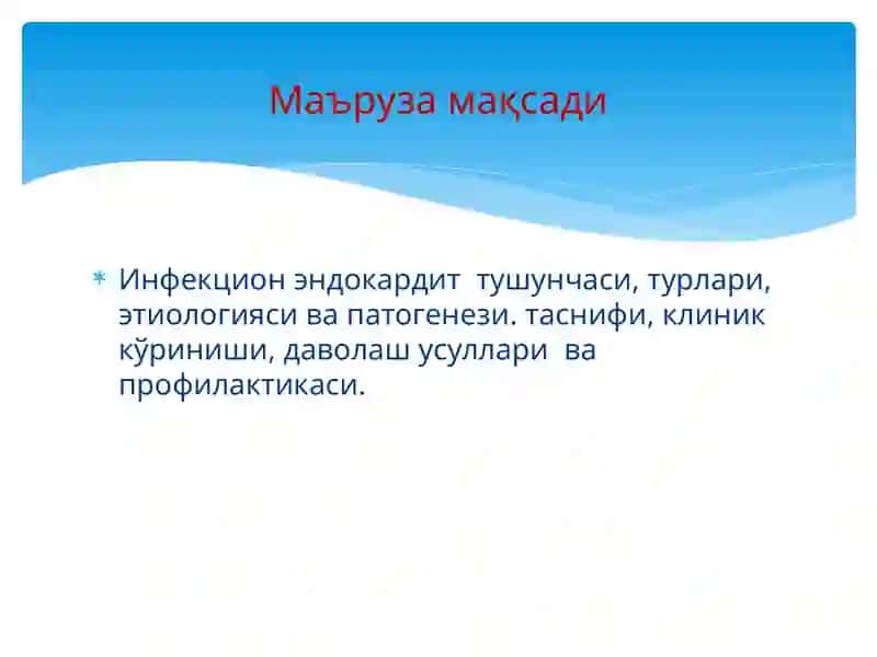 Инфекцион эндокардит 3