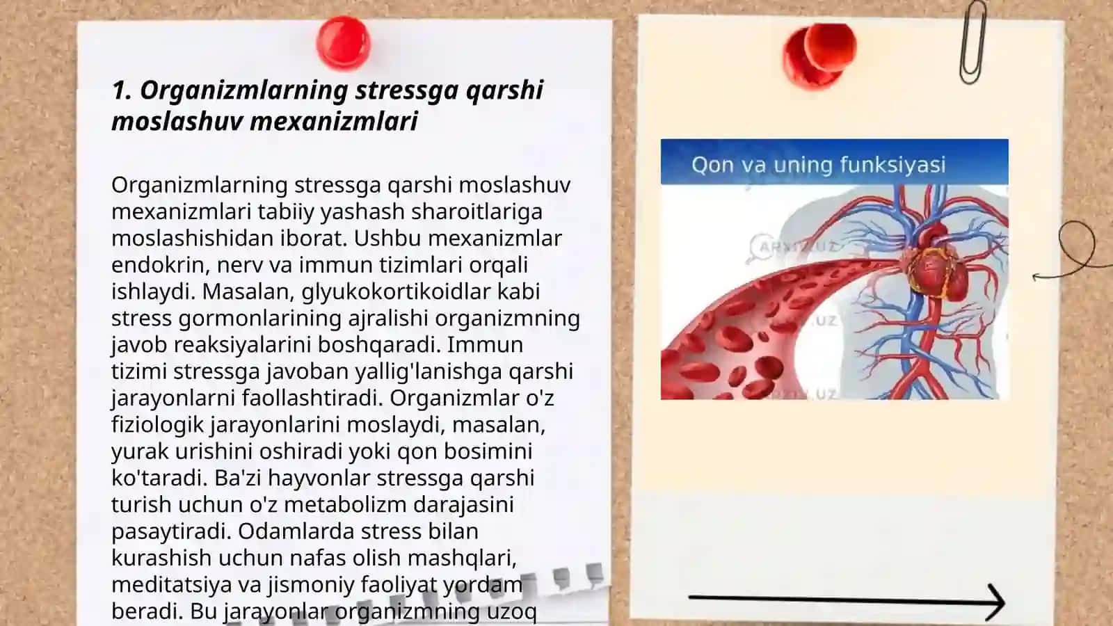 Organizm muxofaza qilish va kompensator moslashish reaksiyalar 3