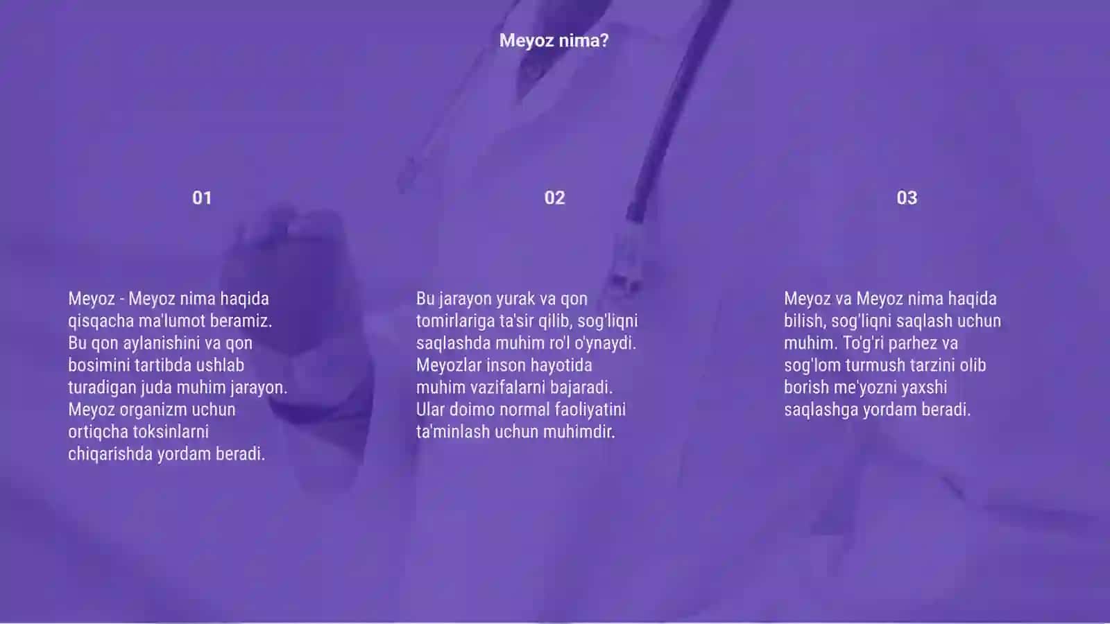 Meyoz 3