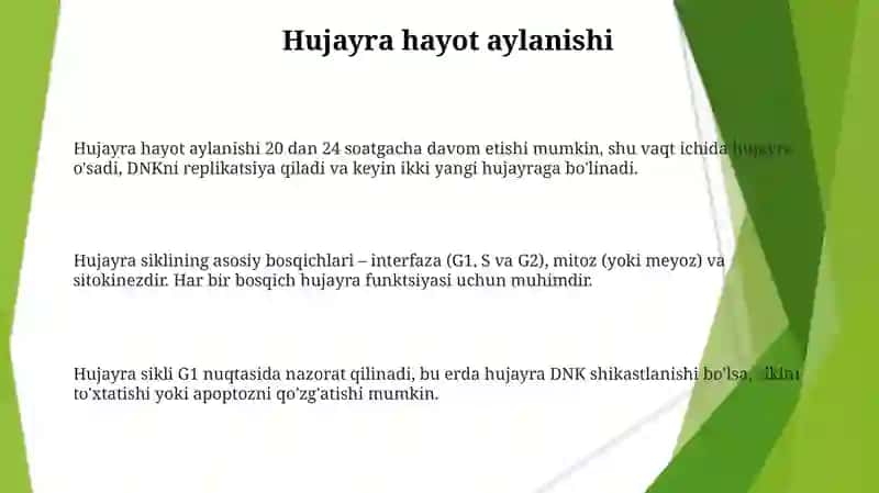 Hujayra hayot aylanishi. Mitoz va Meyoz 3