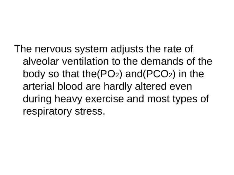 Regulation of Respiration 3