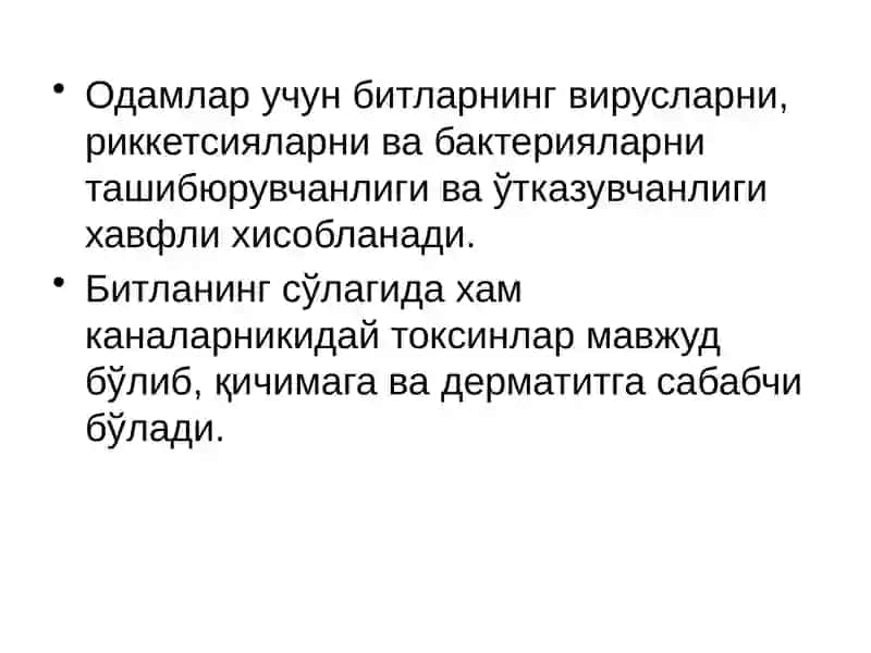 Битлаш (педикулёз) 3