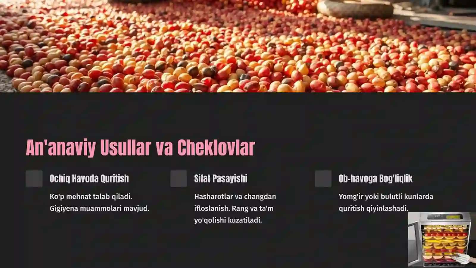 QUYOSH ENERGIYASI ASOSIDA MEVALARNI QURITISH TEXNОLOGIYALARI VA IQTISODIY KO‘RSATKICHLARINI TADQIQ ETISH. 3
