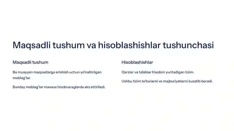 Maqsadli Tushumlar va Hisoblashishlarning Auditiga Doir Reja 3