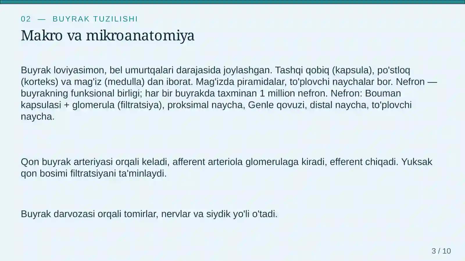 Buyrak va siydik ajratish tizimi 3