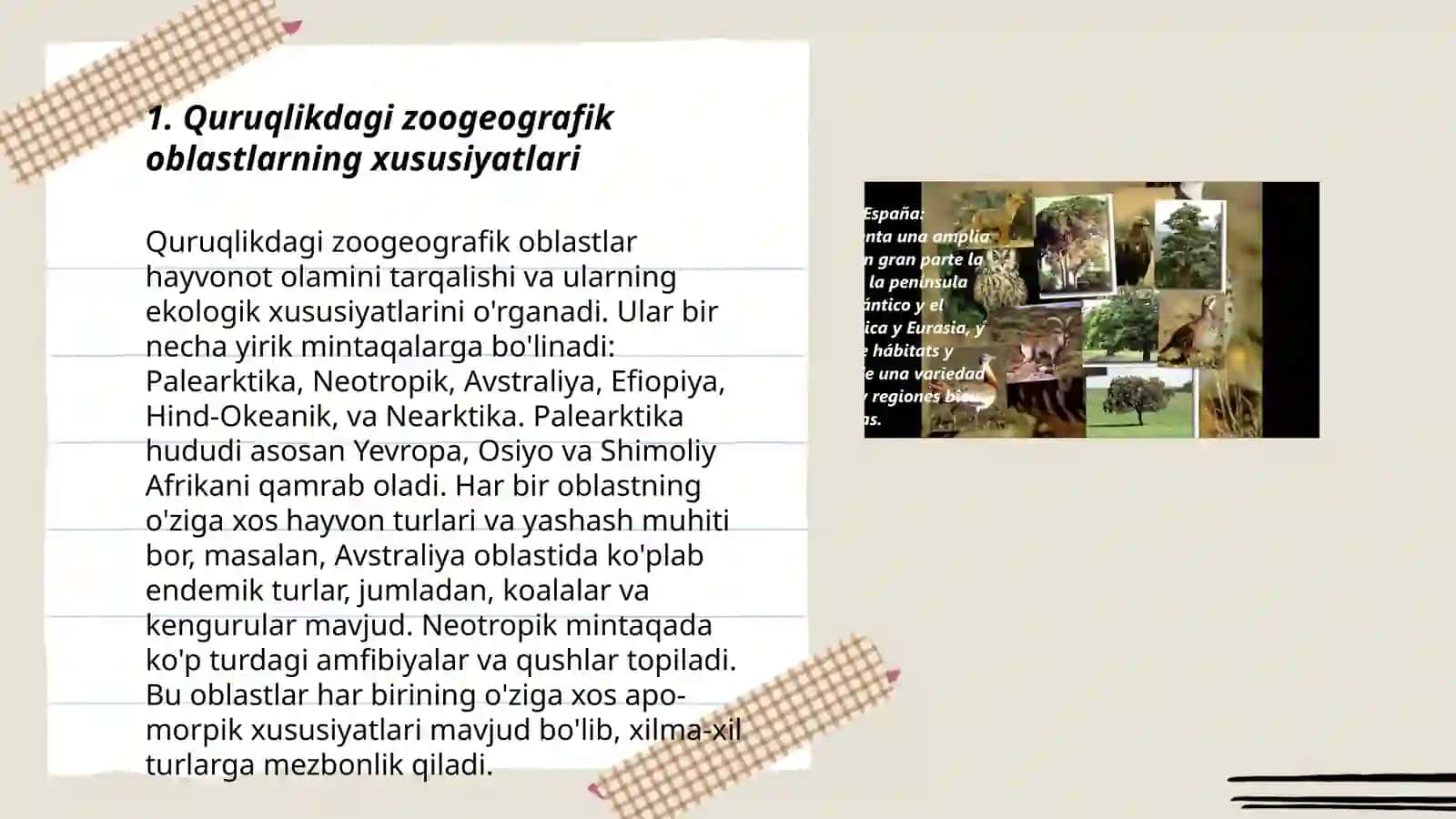 Quruqlikdagi zoogeografik oblastlar faunasini taksonomik tahlil qilish 3