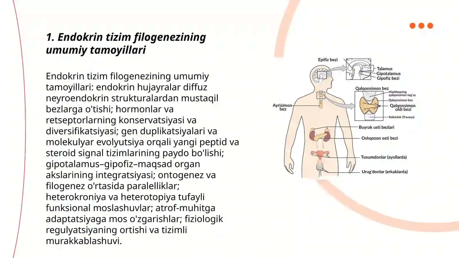 Endokrin tizimi filogenezi va buzilishlari 3
