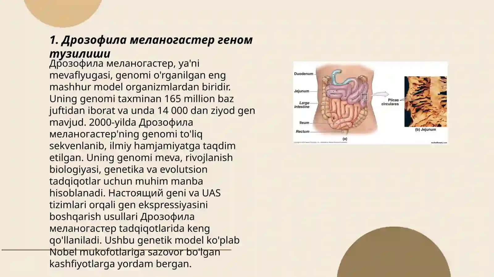 Дрозофилия мелонагастер геномдаги мутатцион контентлар тахлили 3