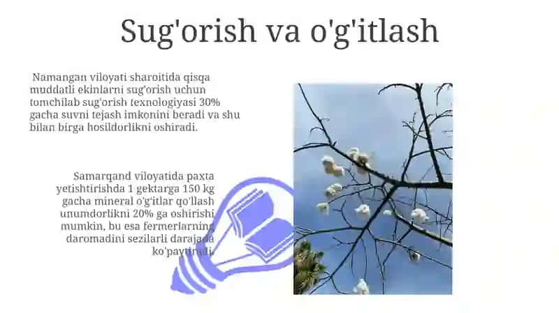 Qisqa muddatli ekinlarni yetishtirishning iqtisodiy jihatlari 3