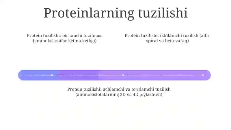 Oqsillar Mavzusini O'Qitish 3