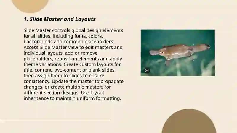Power point 3