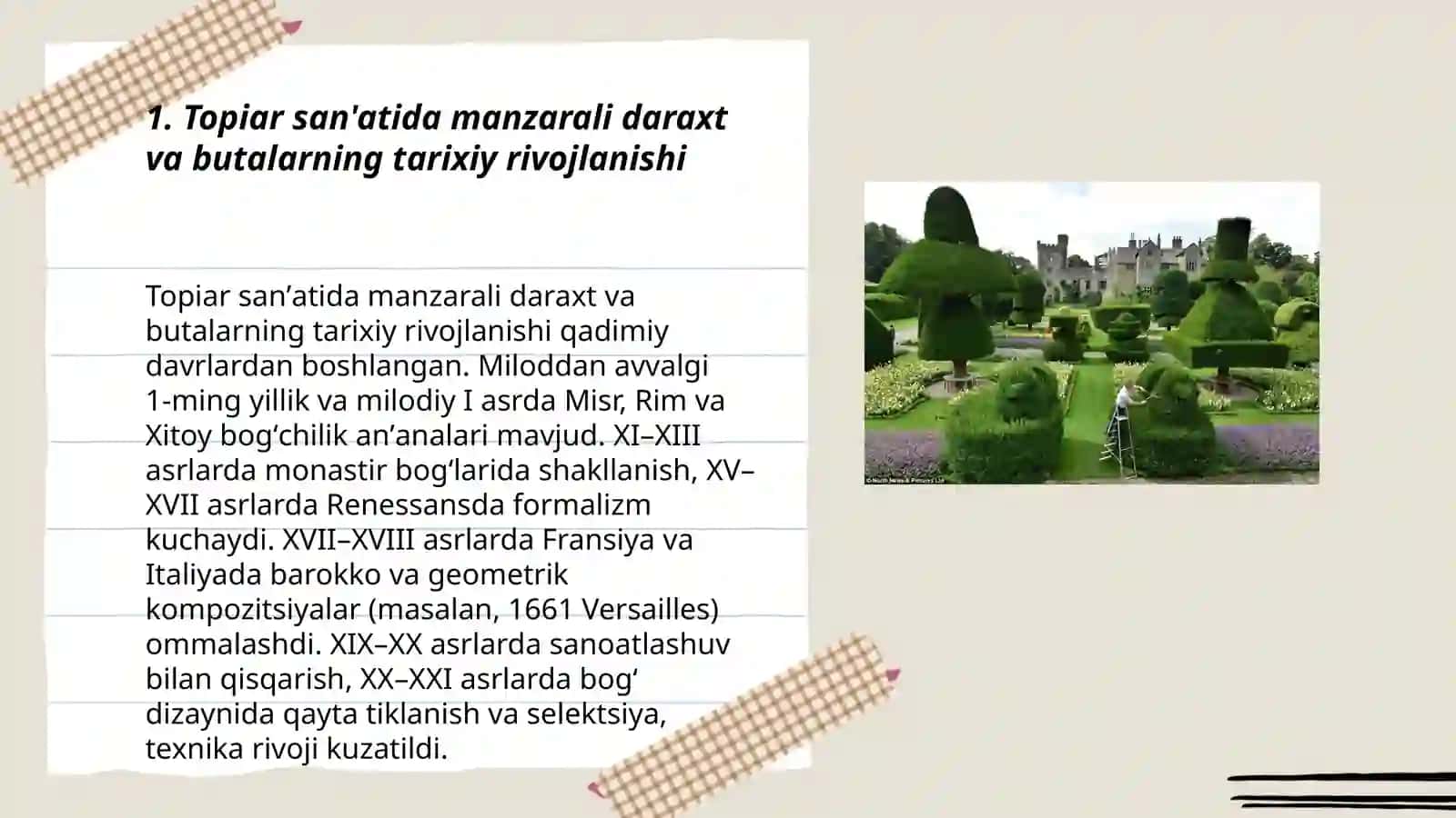 Topiar san'atida manzarali daraxt va butalarning tarixiy rivojlanishi 3