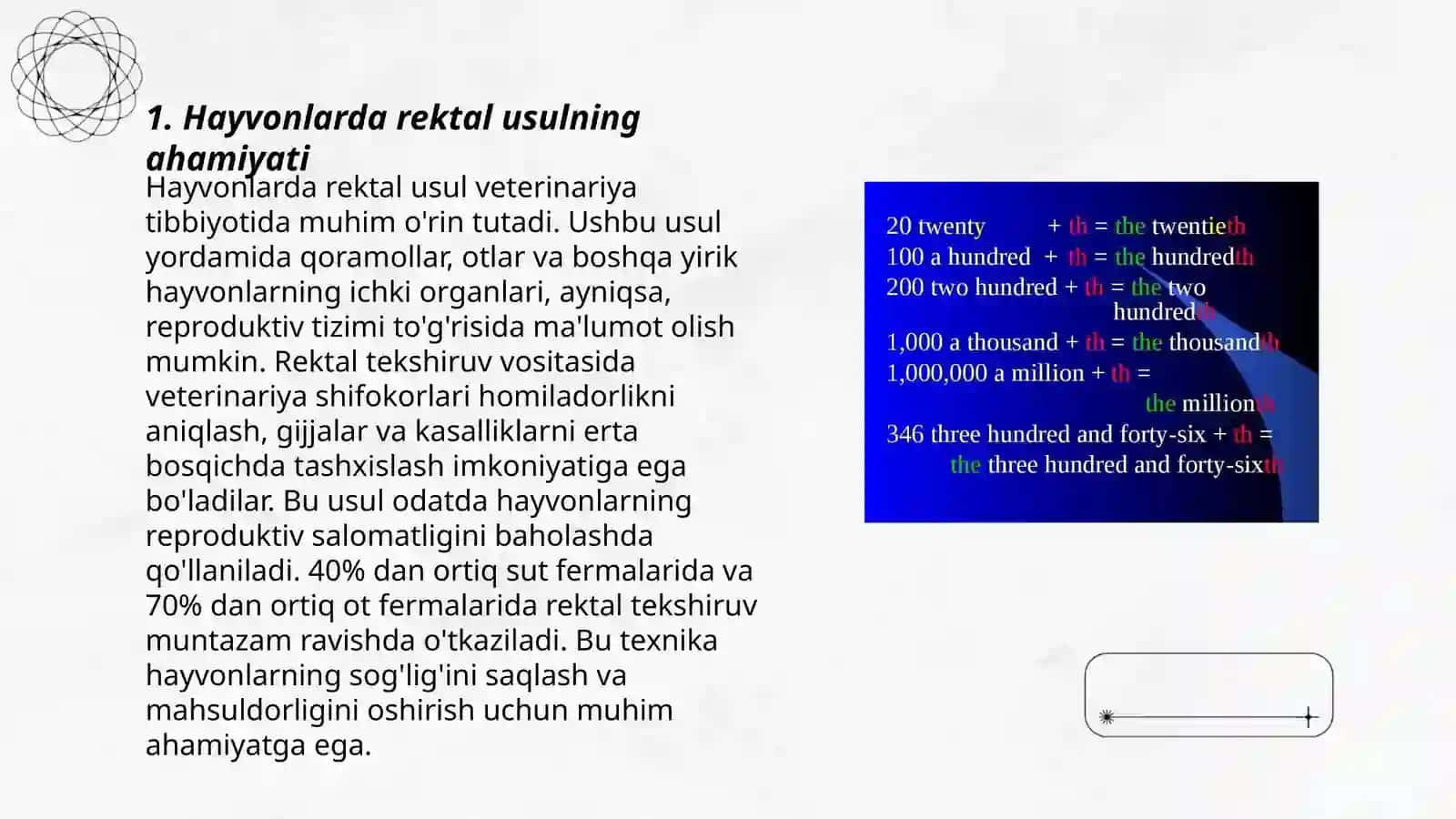 Hayvonlarda rektal usulini qoʻllanilishi va bajarilishi 3
