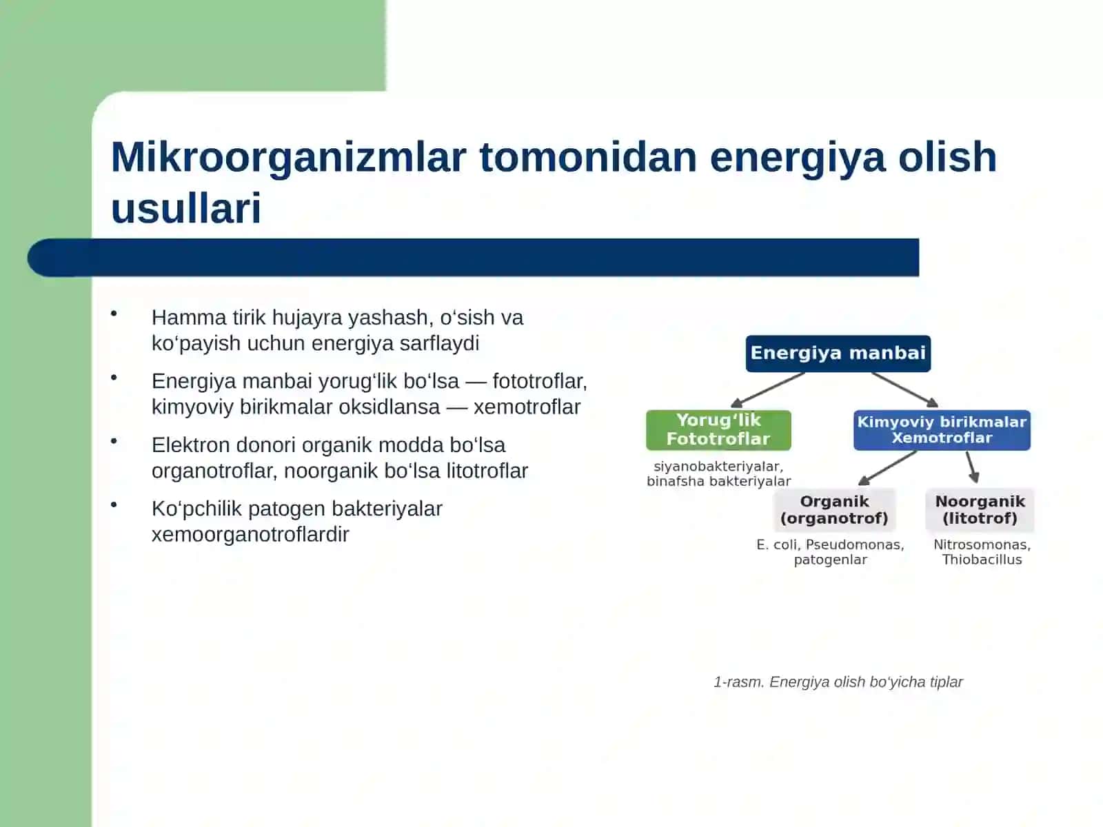 Mikroorganizmlar tomonidan energiya olish usullari. Hujayra energiyasining shakllari va hosil bo‘lish usullari. Fermentatsiya (bijg‘ish). Uglevodlarni fermentatsiya qilish yo‘llari. Fermentatsiya turlari. 3