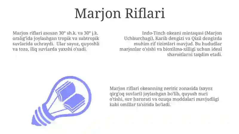 Marjon Riflari 3
