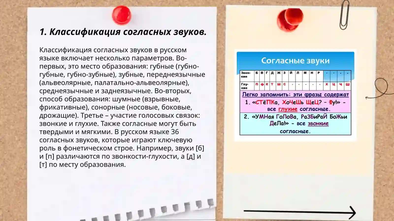Классификация согласных звуков 3