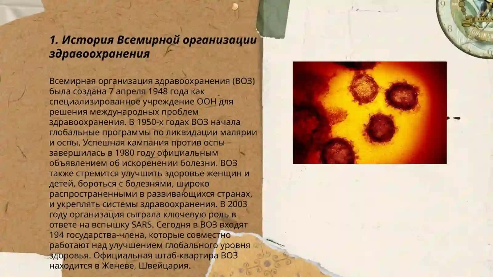 Всемирная организация здравоохранения 3