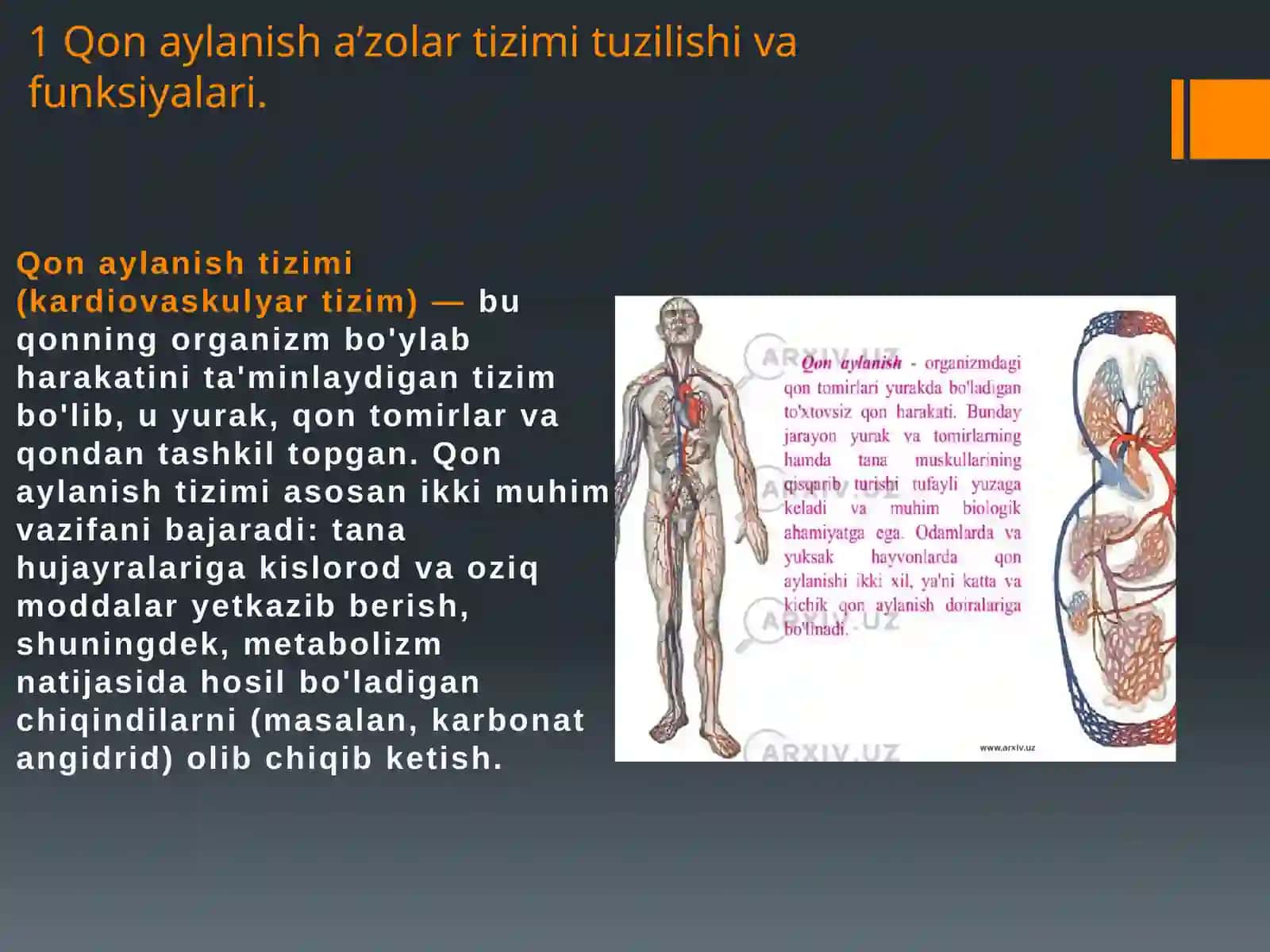 Qonaylanisha’zolartizimi 3