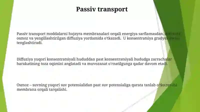 Moddalar transporti 3