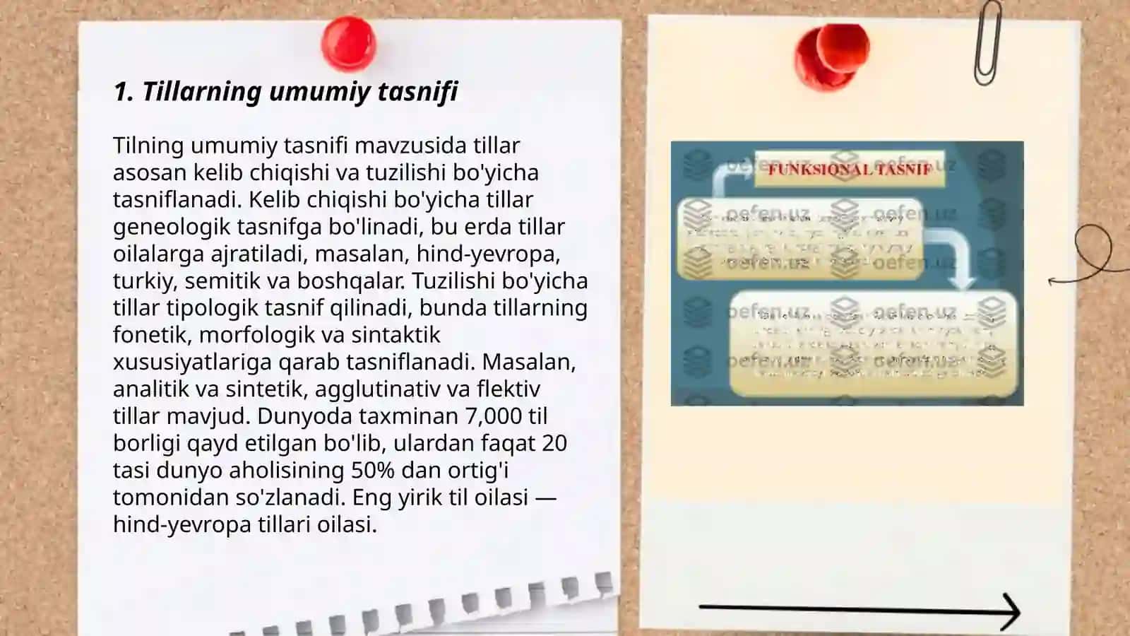 Tillarning tipologik va genalogik tasniflari 3
