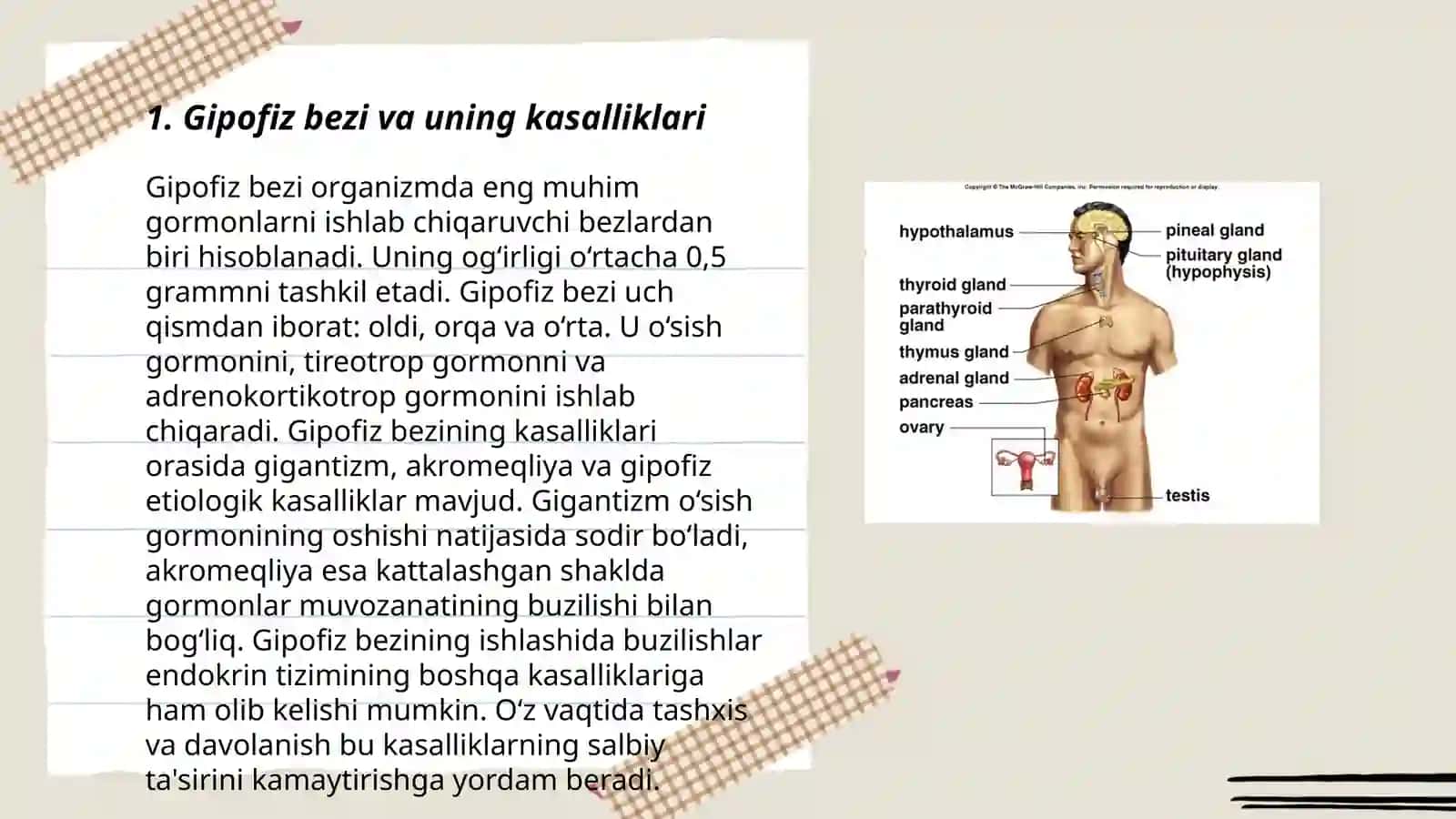 Endokrin bezlari va kassaliklari 3