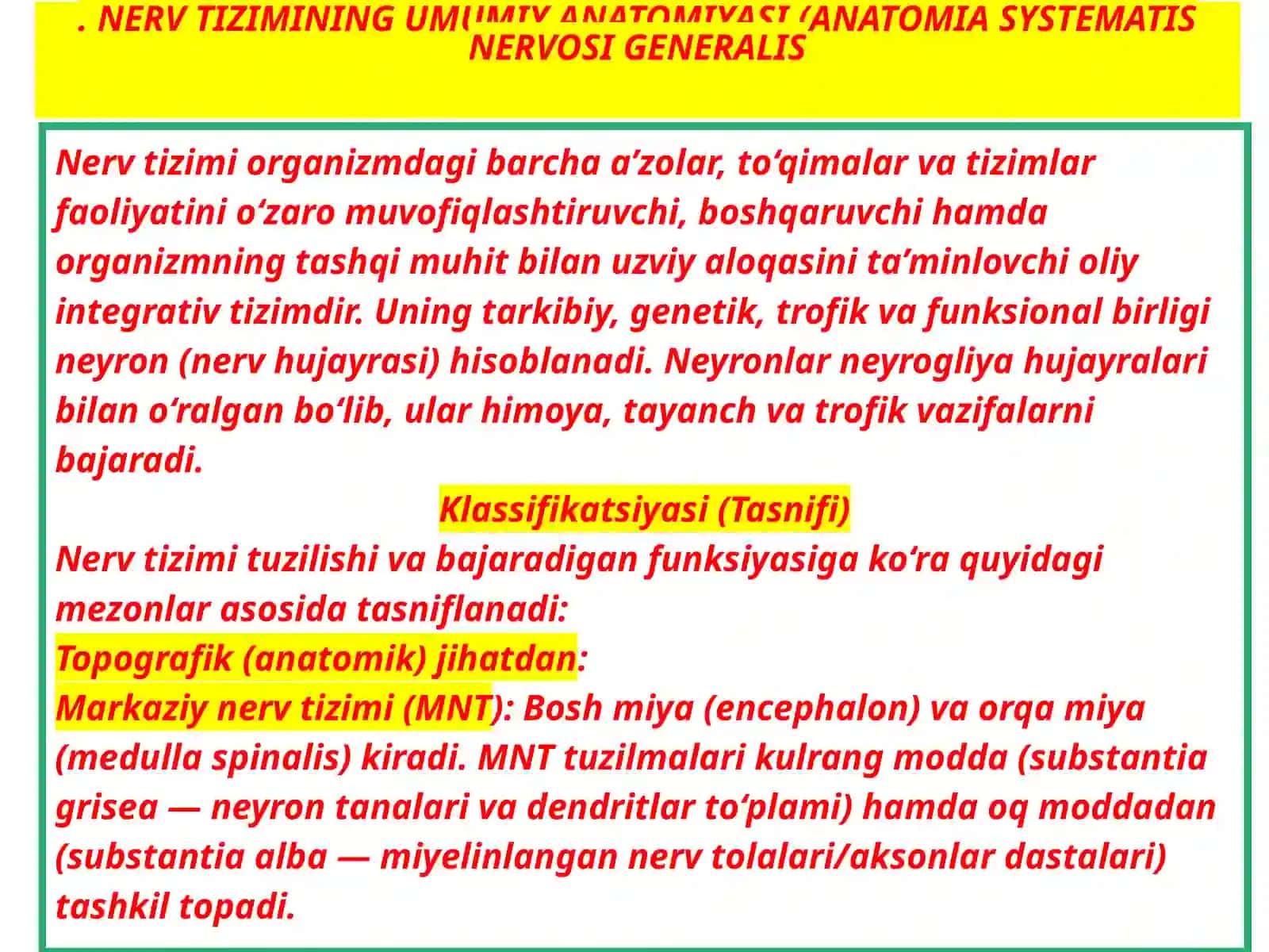 Nervtizimining umumiyan anatomiyasi 3