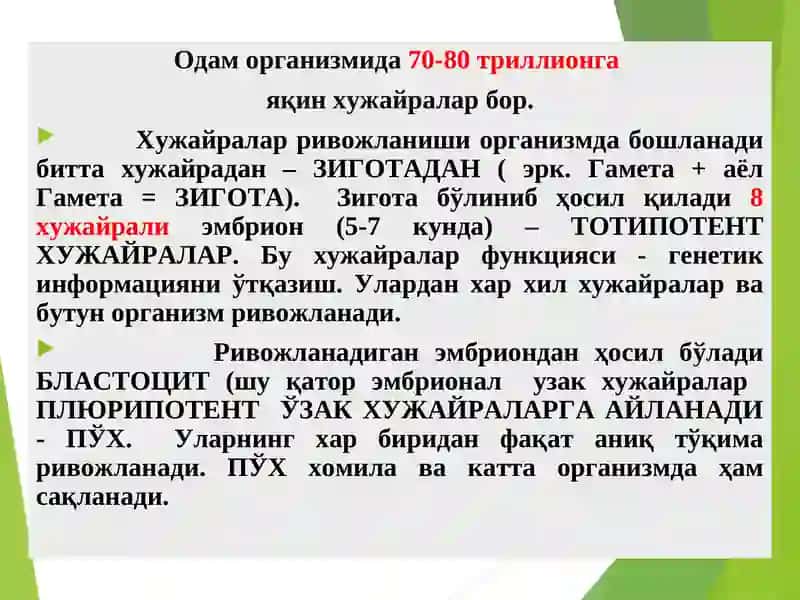 ПАТОЛОГИК ФИЗИОЛОГИЯМаъруза № 2: «ХУЖАЙРАШИКАСТЛАНИШИПАТОФИЗИОЛОГИЯСИ» 3
