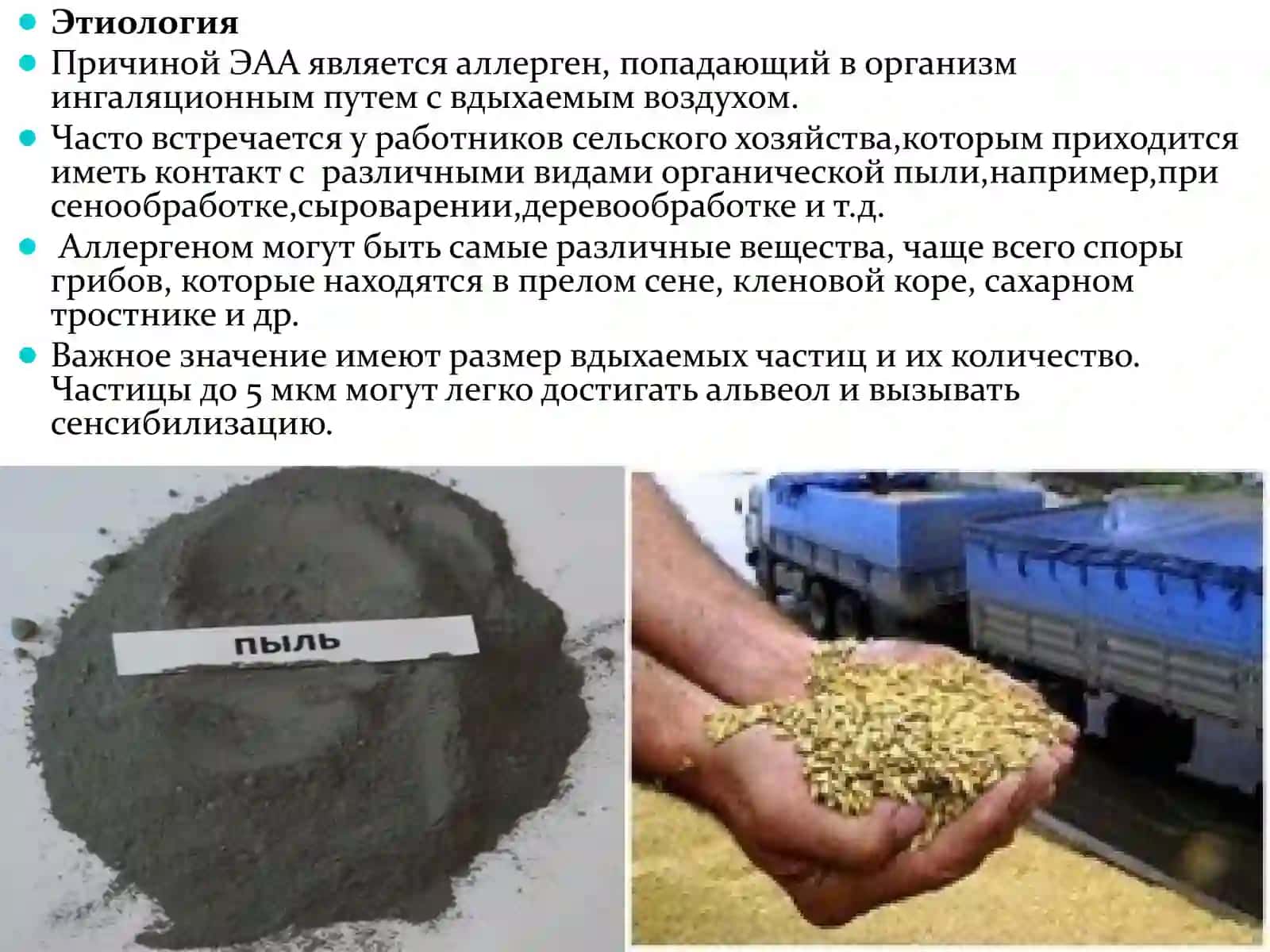 Экзогенный аллергический альвеолит 3