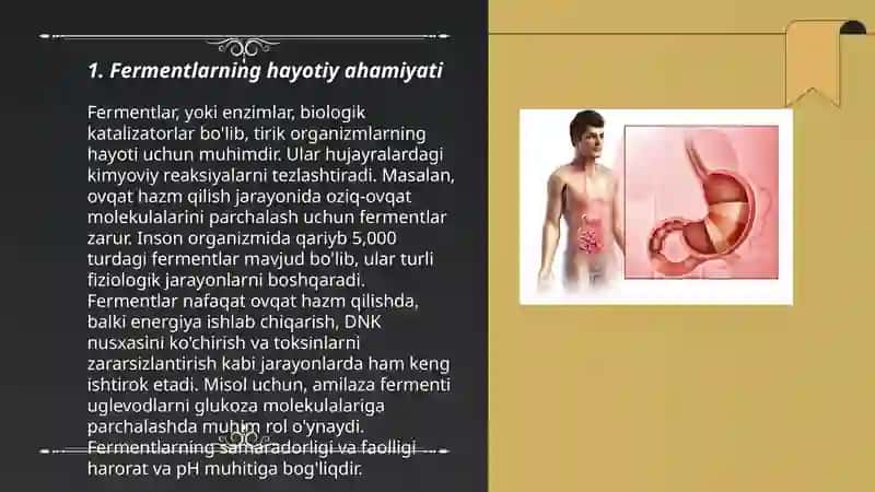 Fermentlarni ahamiyati 3