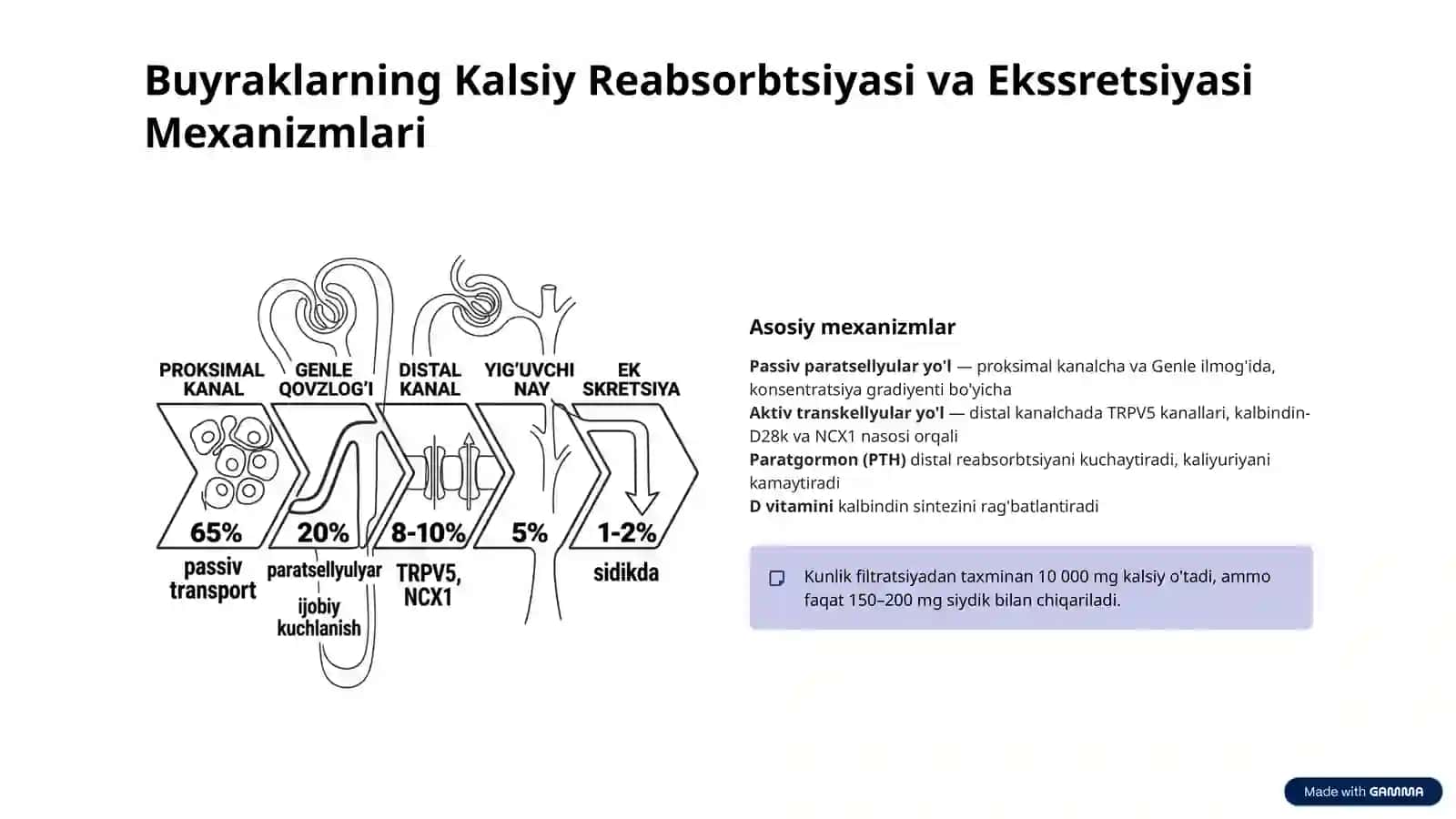 Buyraklarning Kalsiy, Fosfor va Bikarbonat Almashinuvidagi Ahamiyati va Biokimyosi 3